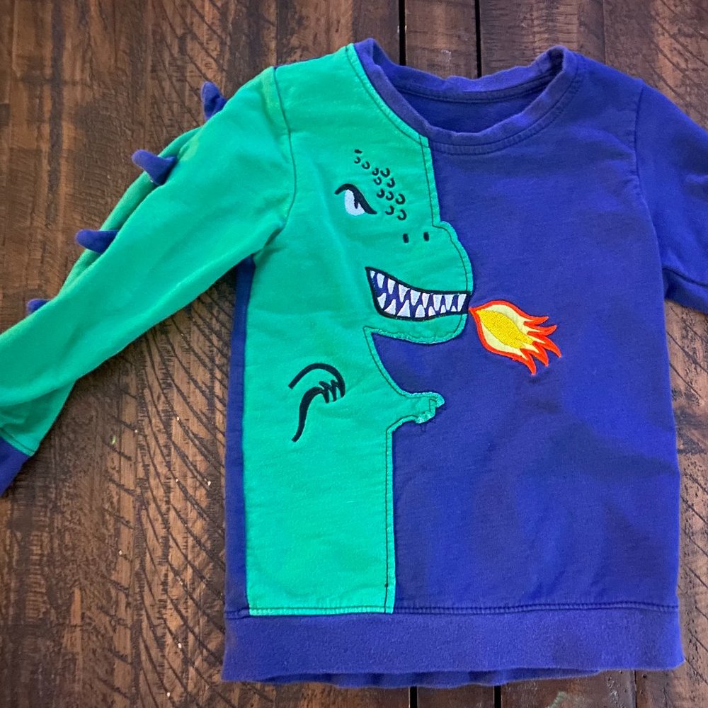 Dragon Embroidered Hoodie for kids size 3T